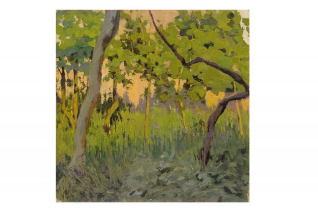1907 - Bosco nei pressi di Orvieto